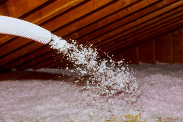 Best Insulation Replacement Services  in USA